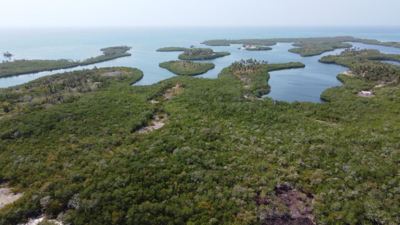 Santa Lova Eco-Hostel Isla Tintipan Tintipan Island 외부 사진
