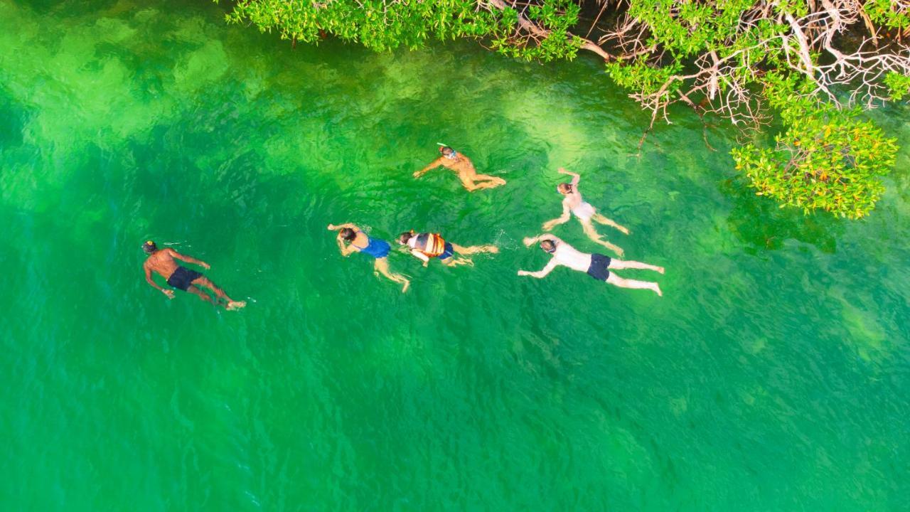 Santa Lova Eco-Hostel Isla Tintipan Tintipan Island 외부 사진