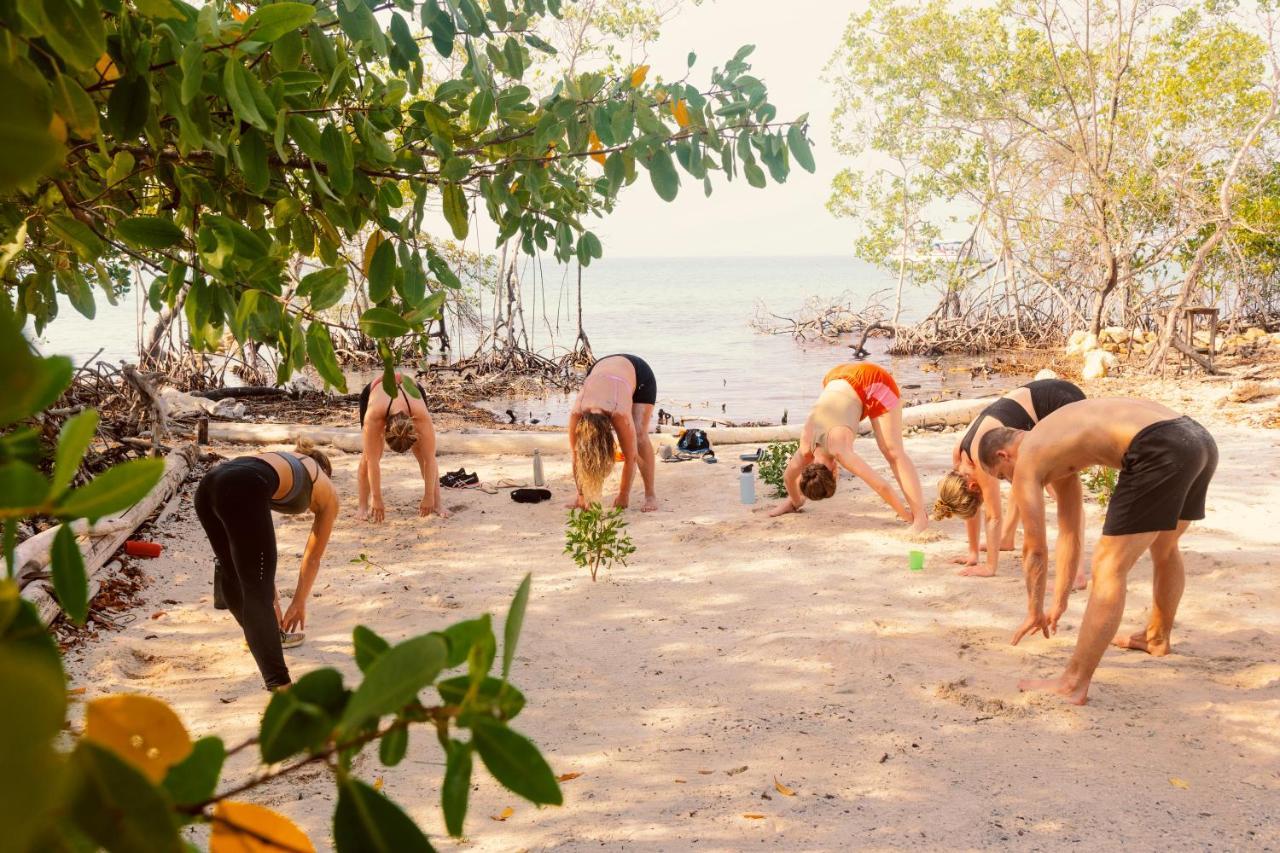 Santa Lova Eco-Hostel Isla Tintipan Tintipan Island 외부 사진