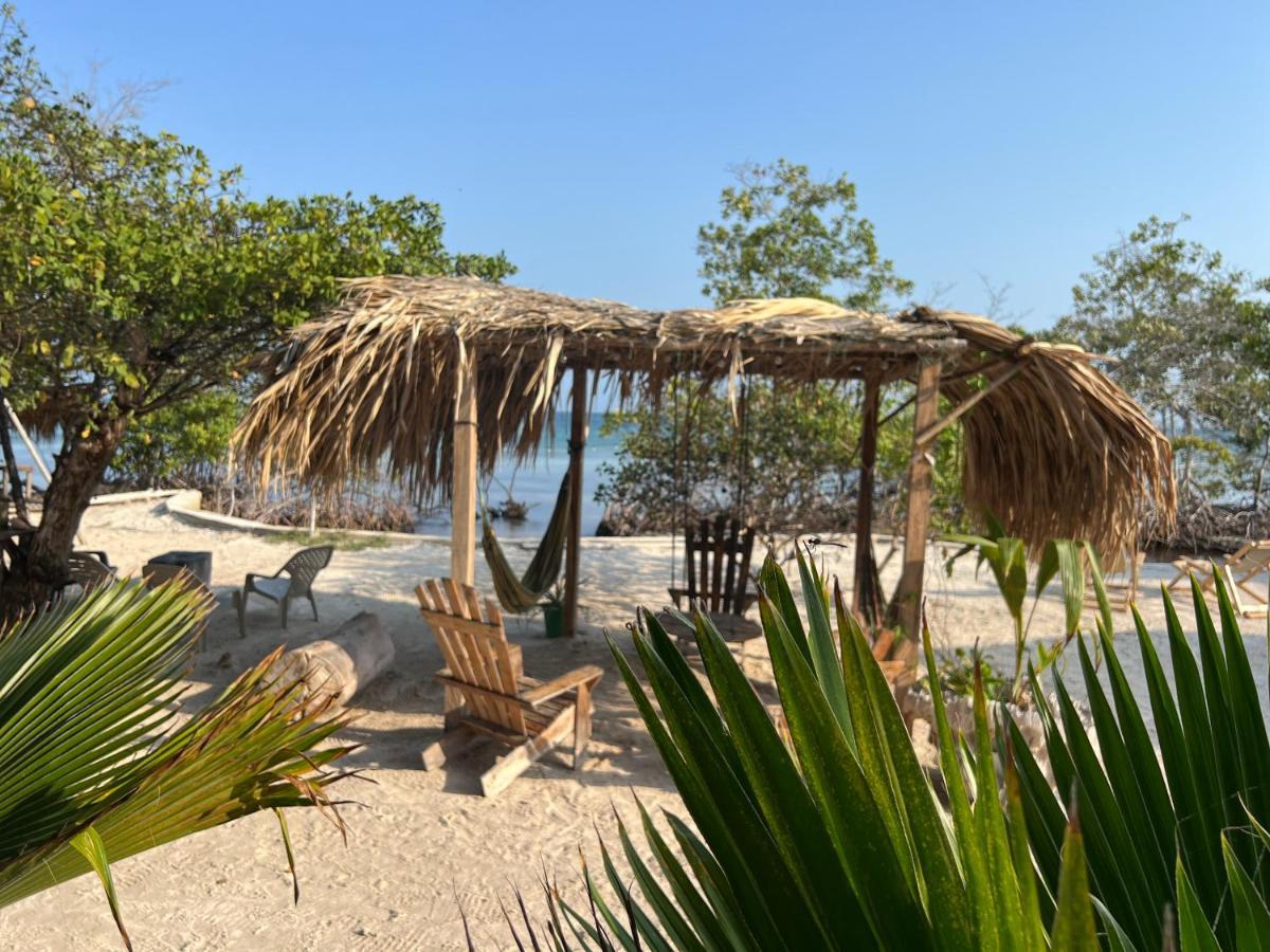 Santa Lova Eco-Hostel Isla Tintipan Tintipan Island 외부 사진