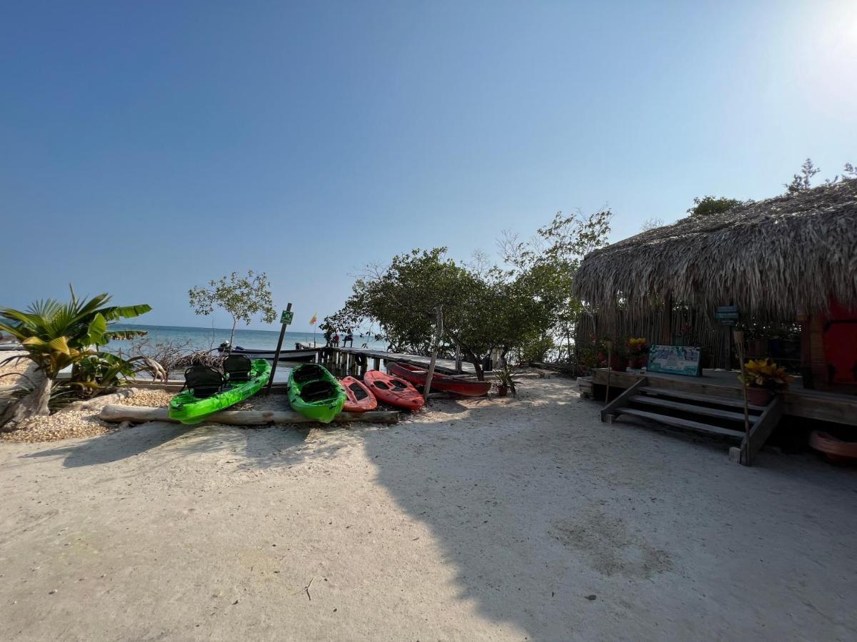 Santa Lova Eco-Hostel Isla Tintipan Tintipan Island 외부 사진