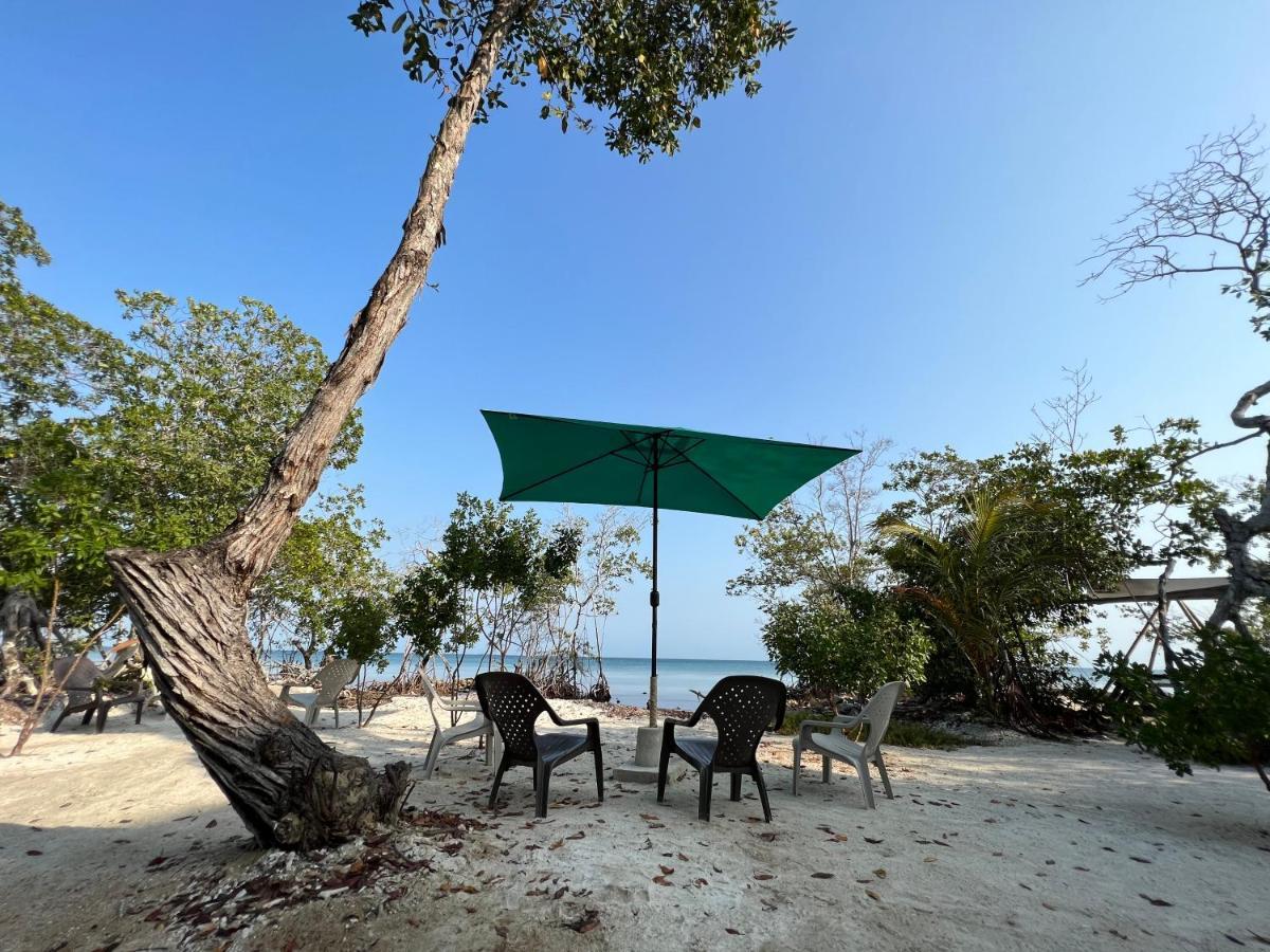 Santa Lova Eco-Hostel Isla Tintipan Tintipan Island 외부 사진