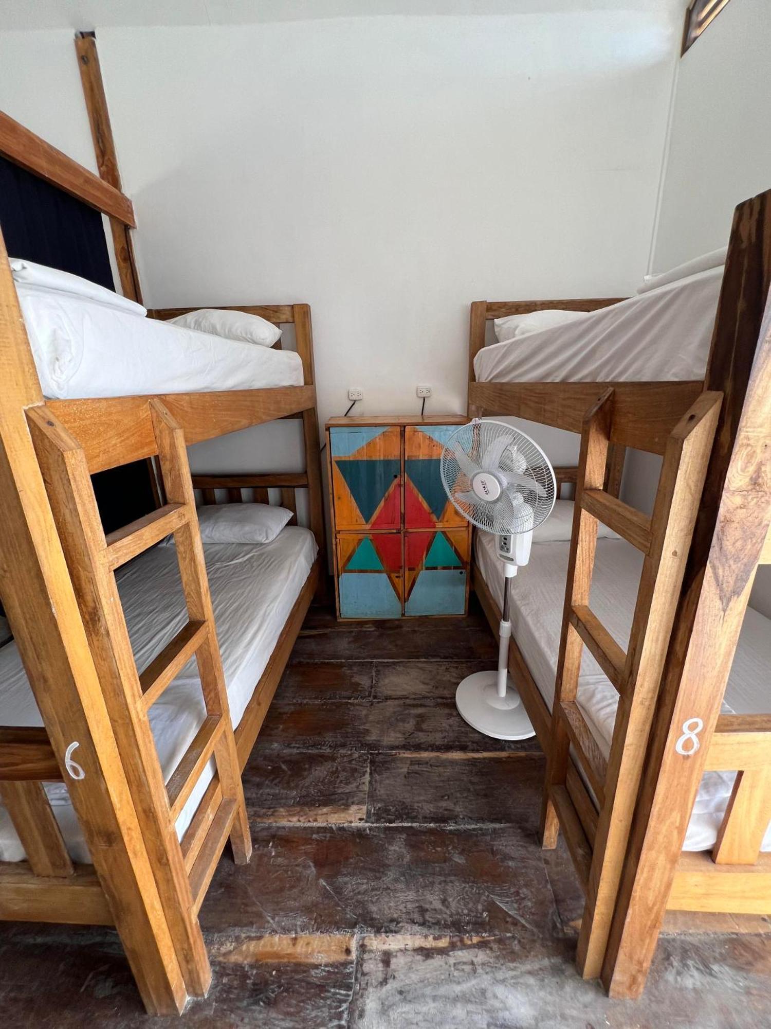 Santa Lova Eco-Hostel Isla Tintipan Tintipan Island 외부 사진