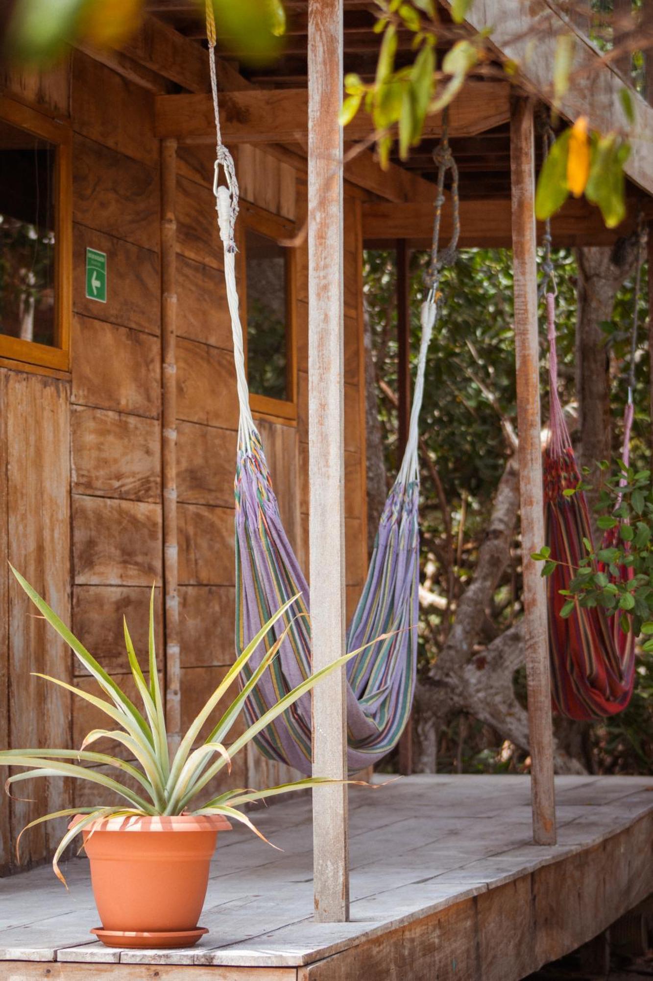 Santa Lova Eco-Hostel Isla Tintipan Tintipan Island 외부 사진