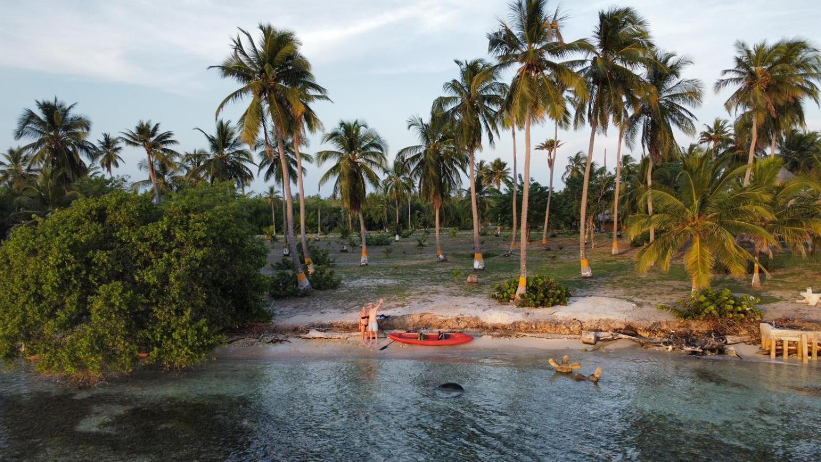Santa Lova Eco-Hostel Isla Tintipan Tintipan Island 외부 사진
