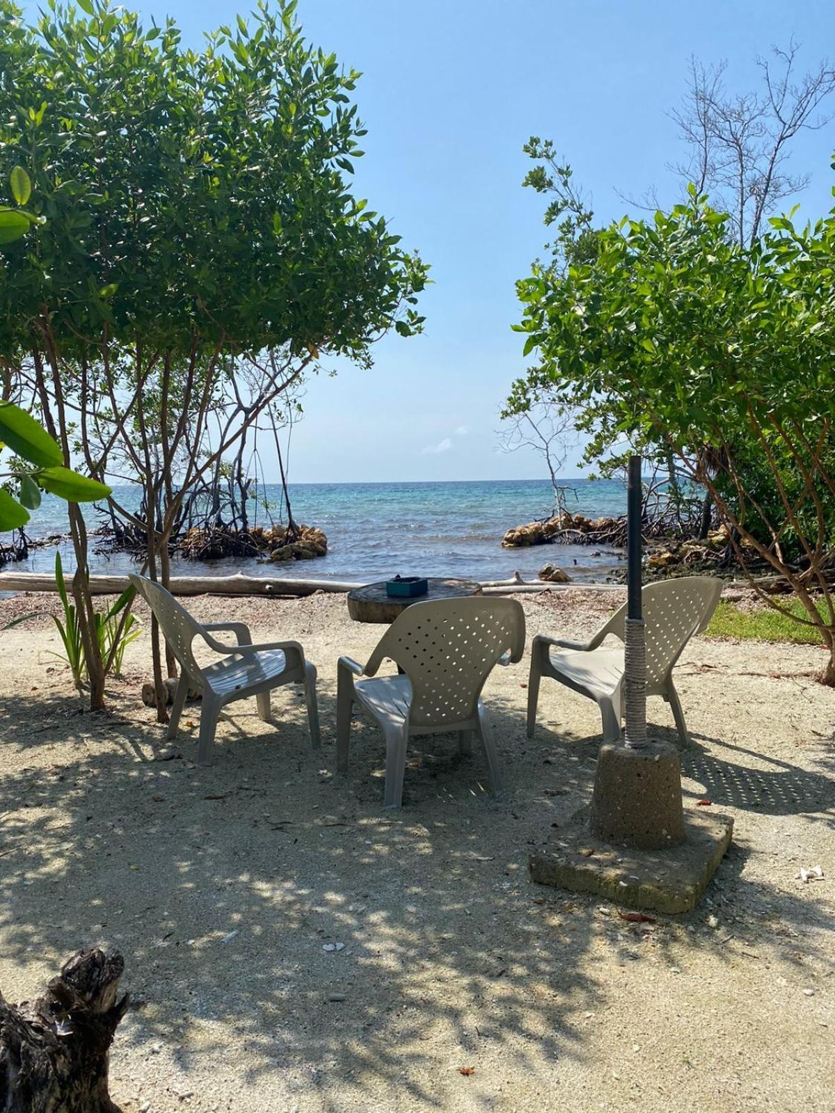 Santa Lova Eco-Hostel Isla Tintipan Tintipan Island 외부 사진