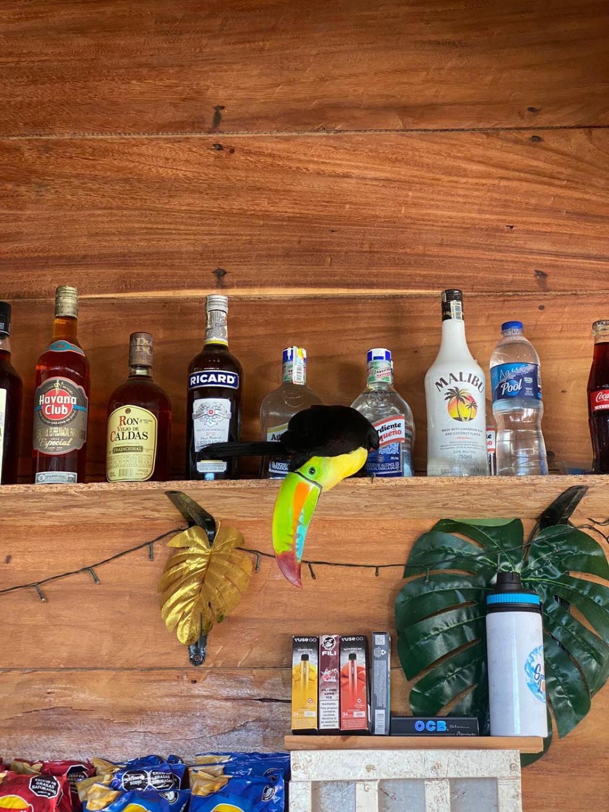 Santa Lova Eco-Hostel Isla Tintipan Tintipan Island 외부 사진