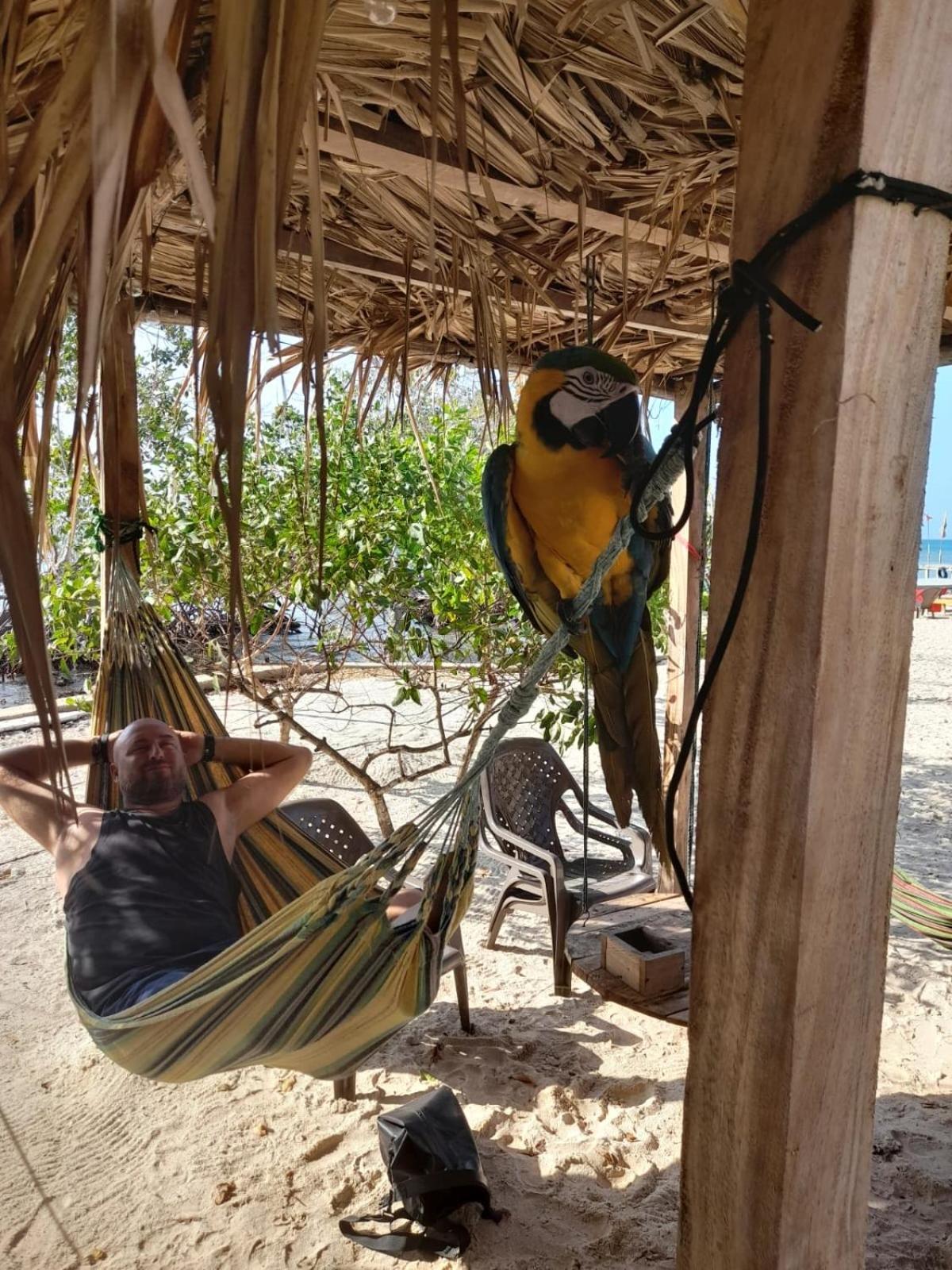Santa Lova Eco-Hostel Isla Tintipan Tintipan Island 외부 사진